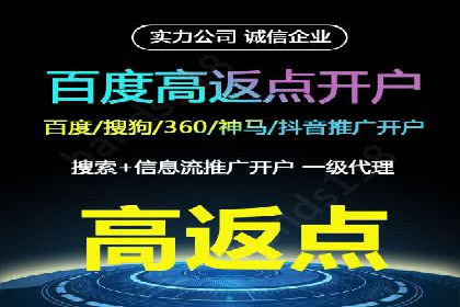 深度解析：百度竞价排名的成功案例及启示